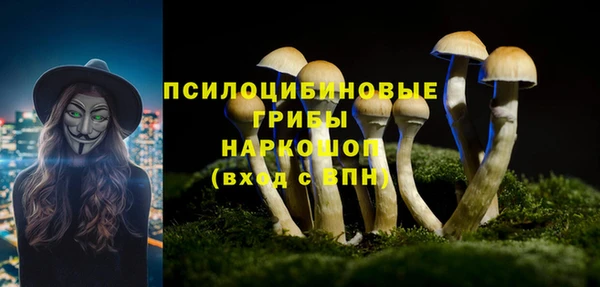 кокс Алзамай